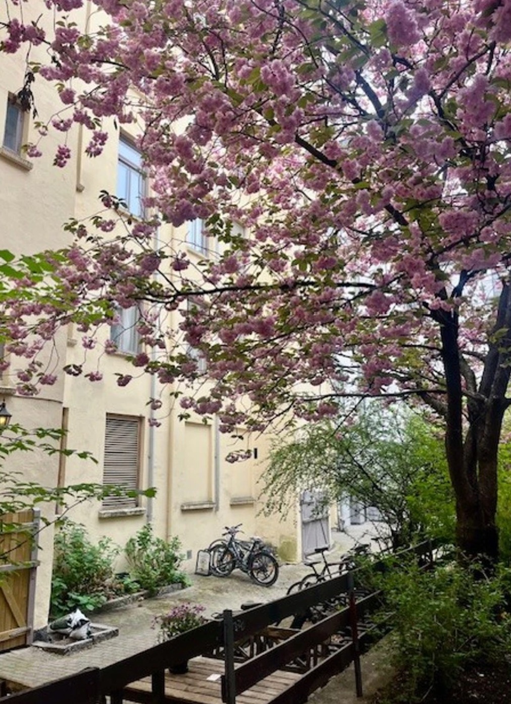 Bygård med sykkelparkering